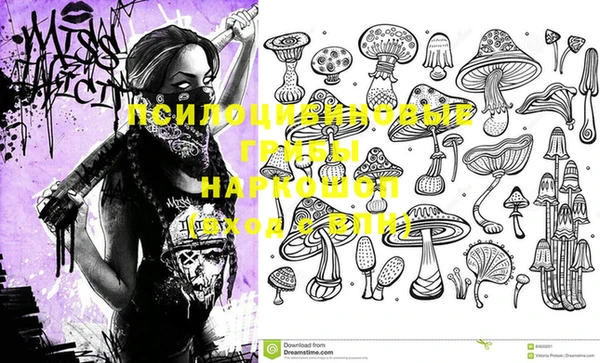 PSILOCYBIN Аркадак